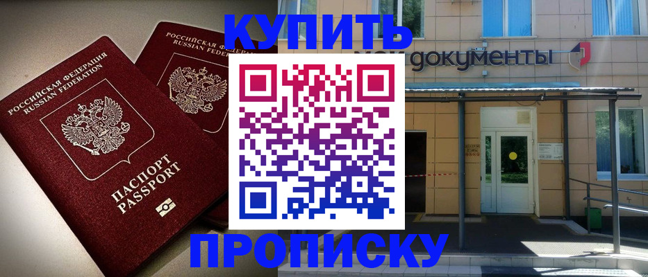 временная прописка в Щёлково