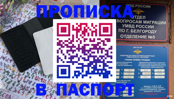 прописка иностранных граждан в Щёлково